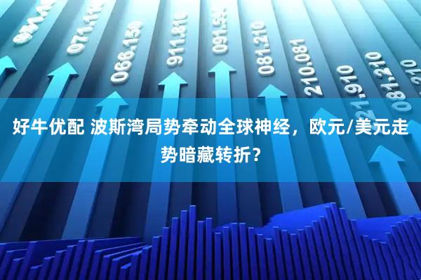 好牛优配 波斯湾局势牵动全球神经，欧元/美元走势暗藏转折？