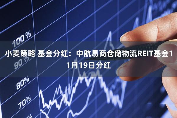 小麦策略 基金分红：中航易商仓储物流REIT基金11月19日分红