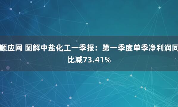 顺应网 图解中盐化工一季报：第一季度单季净利润同比减73.41%