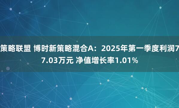 策略联盟 博时新策略混合A：2025年第一季度利润77.03万元 净值增长率1.01%