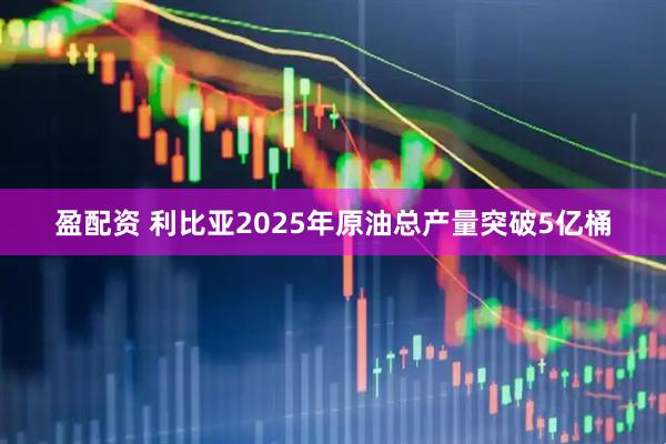 盈配资 利比亚2025年原油总产量突破5亿桶