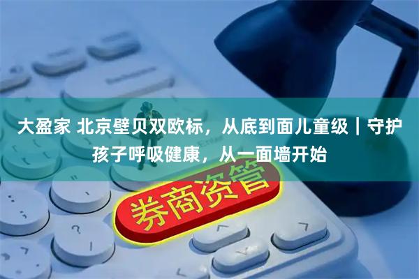 大盈家 北京壁贝双欧标，从底到面儿童级｜守护孩子呼吸健康，从一面墙开始
