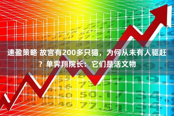 速盈策略 故宫有200多只猫，为何从未有人驱赶？单霁翔院长：它们是活文物