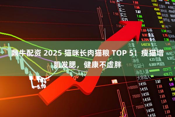 鼎牛配资 2025 猫咪长肉猫粮 TOP 5！瘦猫增肌发腮，健康不虚胖