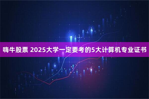 嗨牛股票 2025大学一定要考的5大计算机专业证书